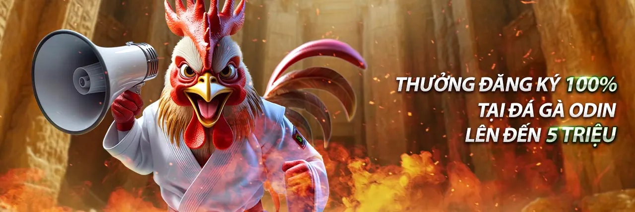 Bảo vệ quyền riêng tư theo tiêu chuẩn quốc tế