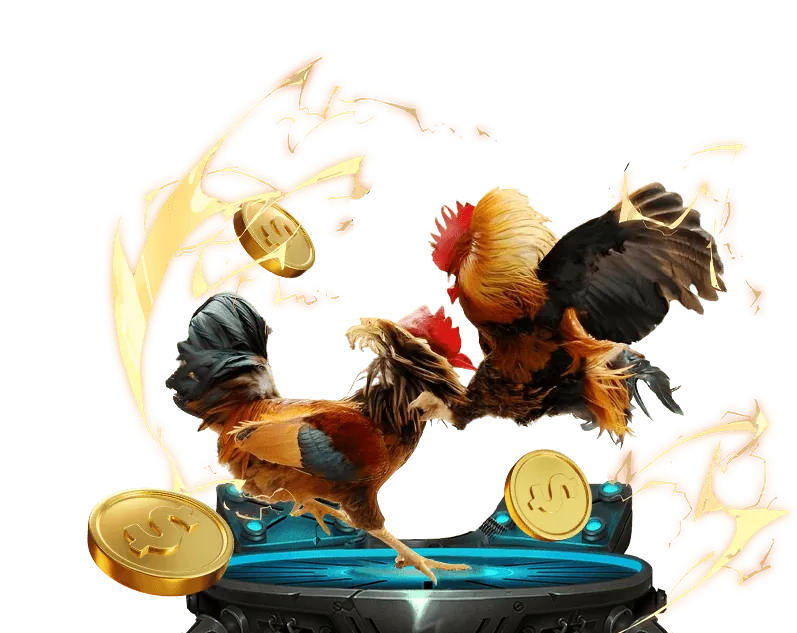 Chính sách và điều khoản của vin88.blog